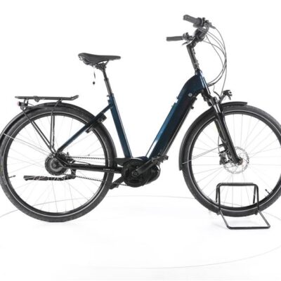 Victoria eTrekking 11.9 City E-Bike Tiefeinsteiger