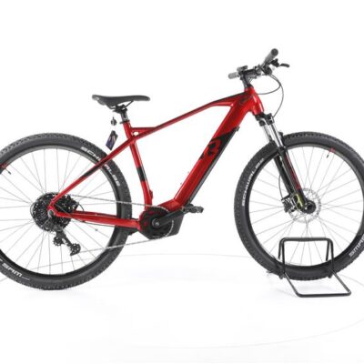 R Raymon HardRay E 4.0 E-Bike