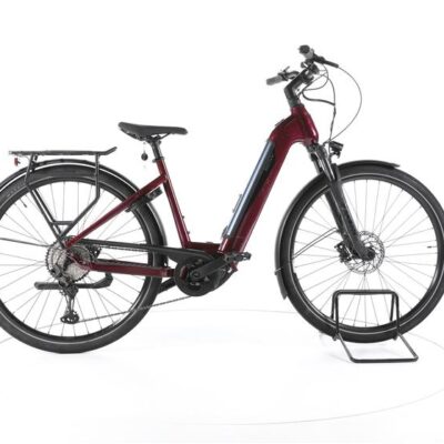 BESV TR 1.1 Trekking E-Bike Tiefeinsteiger