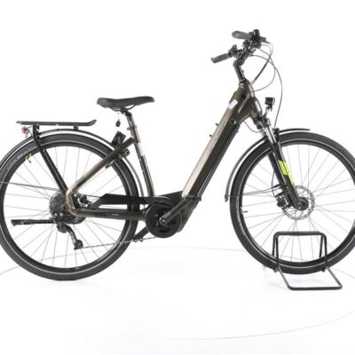 Centurion E-Fire City R750i EP2 Trekking E-Bike Tiefeinsteiger