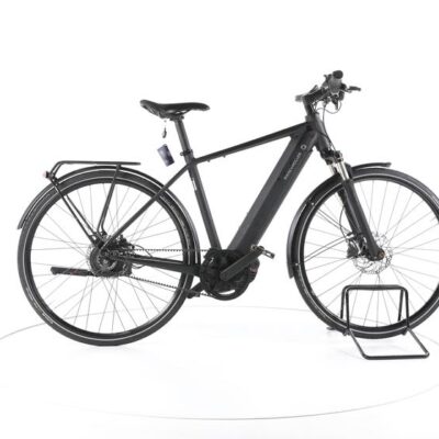 Riese & Müller Roadster City E-Bike
