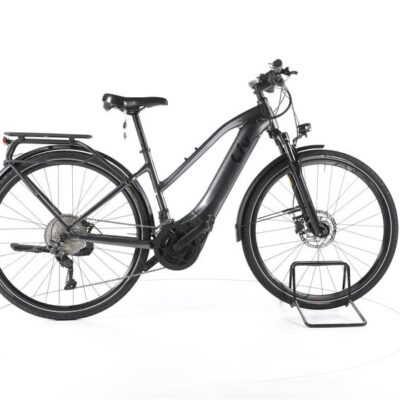 Liv Amiti-E+ 1 Trekking E-Bike
