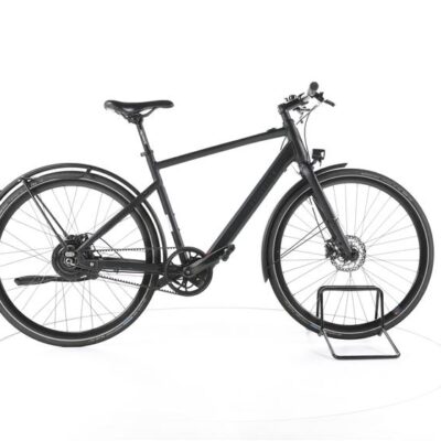 Rabeneick TX-E City E-Bike