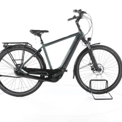 Pegasus Ravenna EVO 8F NL City E-Bike