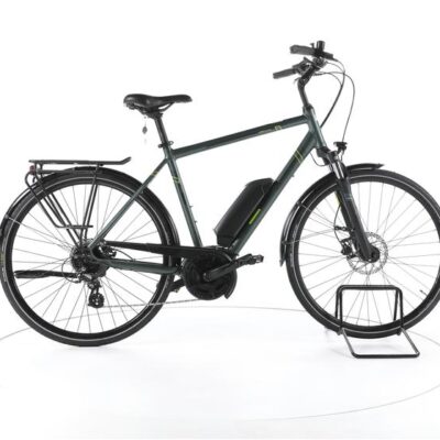 Triumph E-Bird Plus Trekking E-Bike 2023