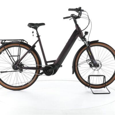 Pegasus Premio EVO 5R City E-Bike Tiefeinsteiger 2023