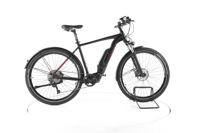 Wittich WIS10 Trekking E-Bike