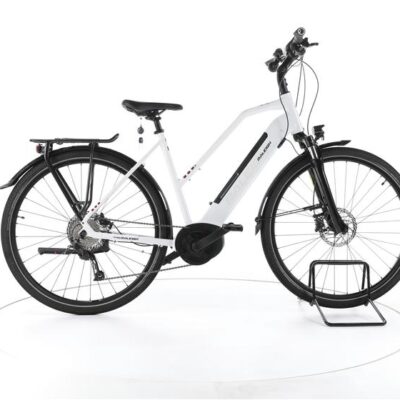 Raleigh Kent 9 Trekking E-Bike