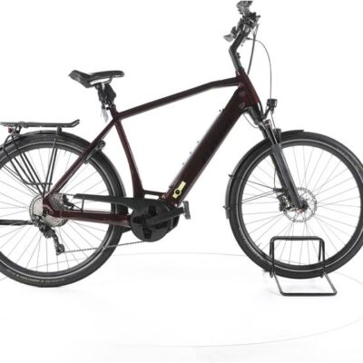 Stevens E-Triton PT6 Trekking E-Bike