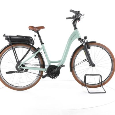 Riese & Müller Swing vario City E-Bike Tiefeinsteiger