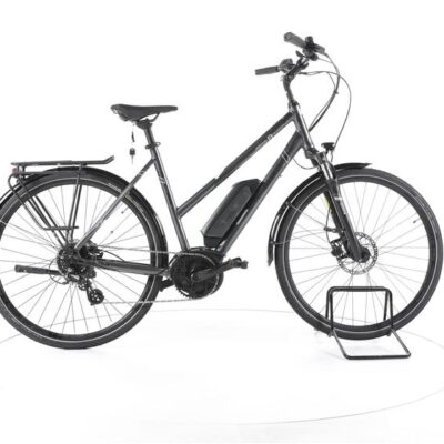 Triumph E-Bird Ultra Trekking E-Bike