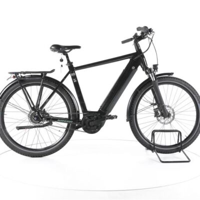 Winora Sinus R8f City E-Bike