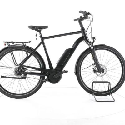 FALTER E 9.0 FL City E-Bike