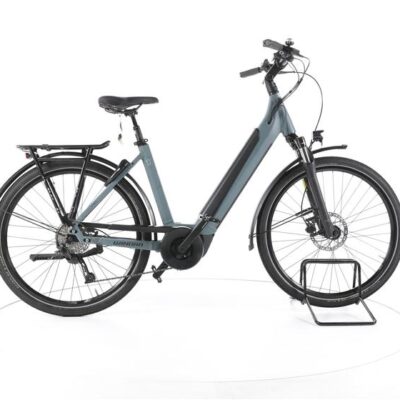Winora Sinus 9 i Trekking E-Bike Tiefeinsteiger