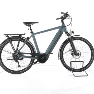 Winora Sinus 9 Trekking E-Bike