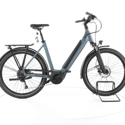 Winora Sinus 9 Trekking E-Bike Tiefeinsteiger