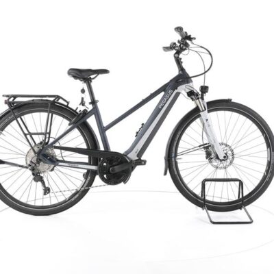 Pegasus Premio EVO 10 Lite Trekking E-Bike