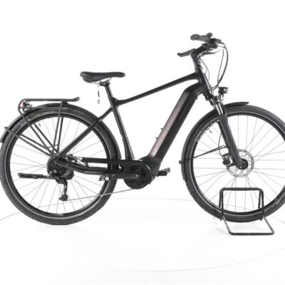 Giant DailyTour E+ 3 GTS Trekking E-Bike