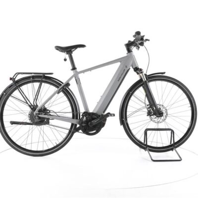 Riese & Müller Roadster Vario City E-Bike