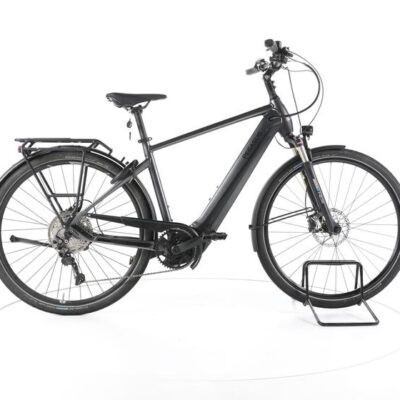 Pegasus Premio Evo 10 Trekking E-Bike