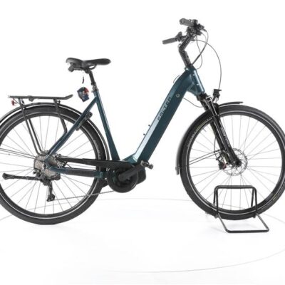 FALTER E 9.0 KS Trekking E-Bike Tiefeinsteiger