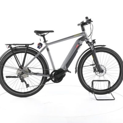 Winora Sinus iX10 Trekking E-Bike