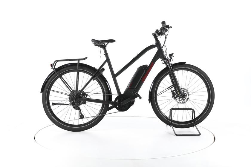 Diamant Zing+ Gen 1 Trekking E-Bike