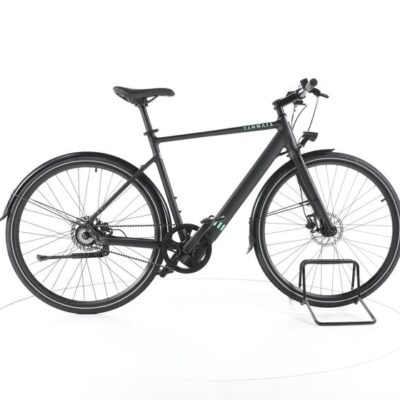 TENWAYS CGO600 City E-Bike