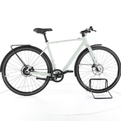 Rose E-URBAN Sneak Plus EQ City E-Bike