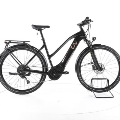 Liv Amiti-E+ 2 Trekking E-Bike