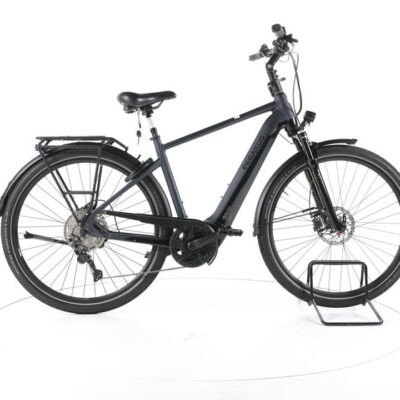 Pegasus Premio EVO 10 Lite Trekking E-Bike