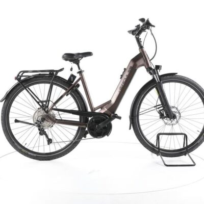 Hercules Pasero Sport I-10 Trekking E-Bike Tiefeinsteiger