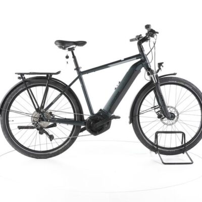 Winora Yucatan 10 Trekking E-Bike