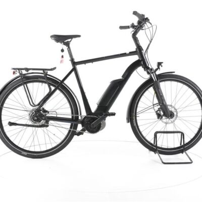 FALTER E 9.0 FL City E-Bike