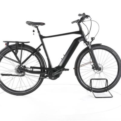 Giant DailyTour E+ 2 City E-Bike