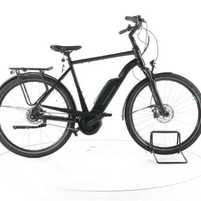 FALTER E 9.0 RT City E-Bike