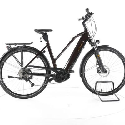 Victoria eTrekking 12.8 Trekking E-Bike