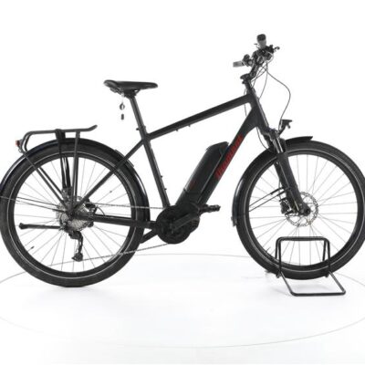 Diamant Zing+ Trekking E-Bike