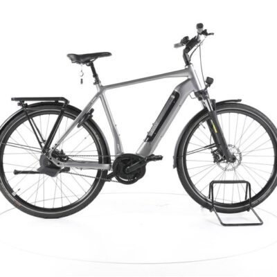 Rose Xtra Watt Evo Plus 3 City E-Bike