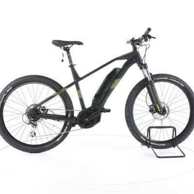R Raymon HardRay E 2.0 E-Bike
