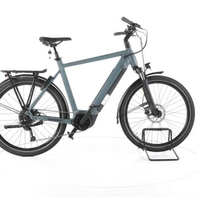 Winora Sinus 9 Trekking E-Bike