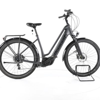 Diamant Opal+ City E-Bike Tiefeinsteiger