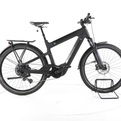 Whistle Speed Urban C8.1 Man Carbon Trekking E-Bike Carbon