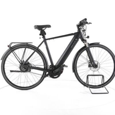 Riese & Müller Roadster vario City E-Bike