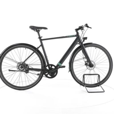 TENWAYS CGO600 City E-Bike