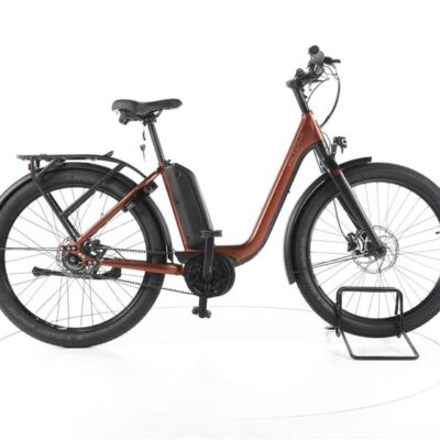 Victoria (e)Urban 11.8 City E-Bike Tiefeinsteiger