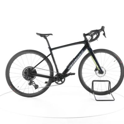 Specialized Diverge Expert Carbon