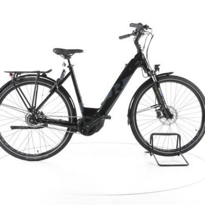 R Raymon CityRay E 7.0 City E-Bike Tiefeinsteiger
