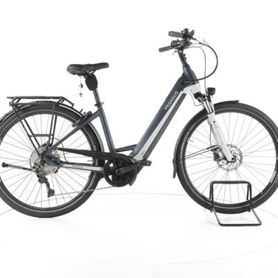 Pegasus Premio EVO 10 Lite Trekking E-Bike Tiefeinsteiger