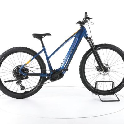 Corratec E-Power X Vert Race Trinity Sport E-Bike 2023